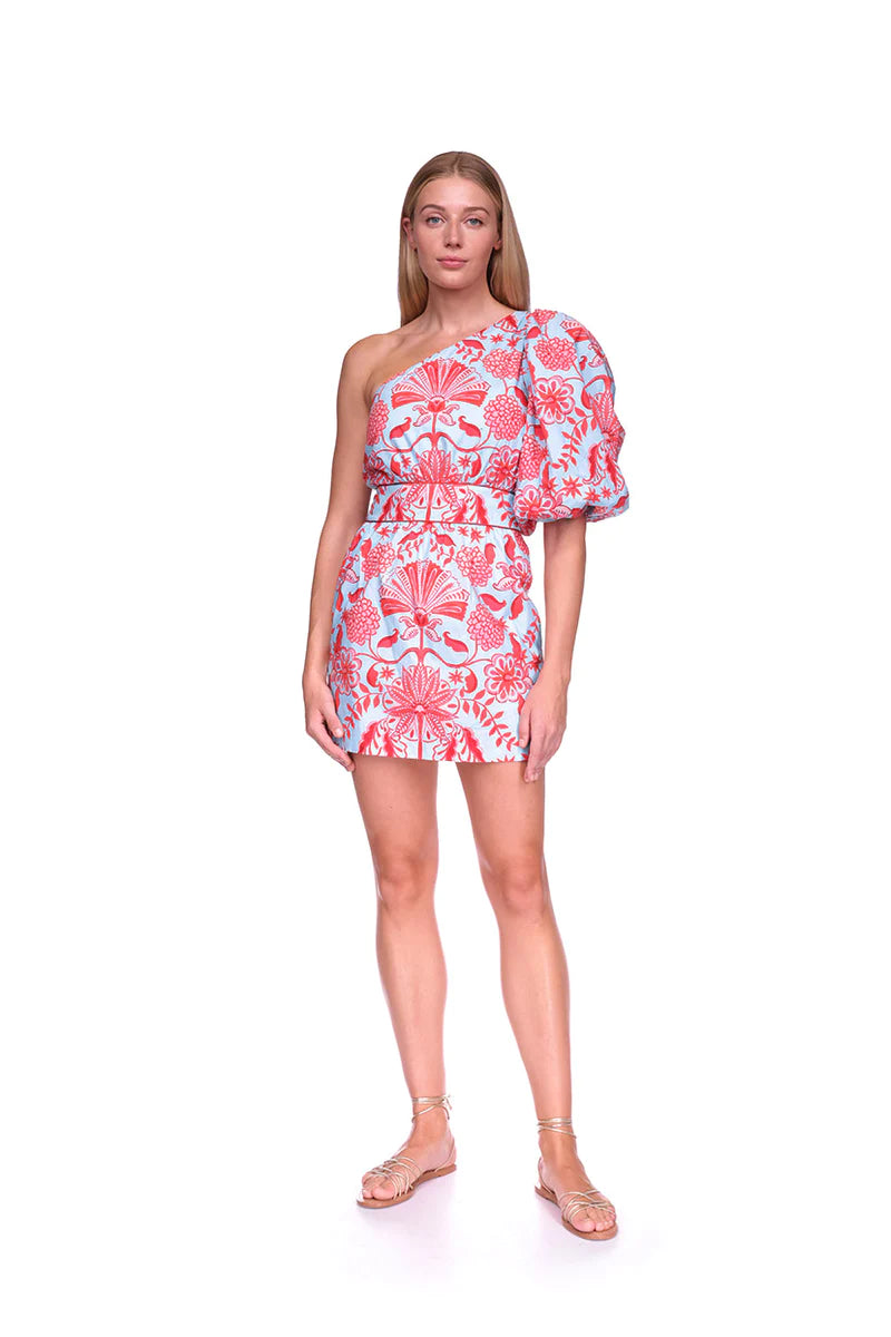 Cara Cara Danielle Dress - FINAL SALE – The Alcove